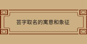 芸意思名字|芸字起名寓意、芸字五行和姓名学含义